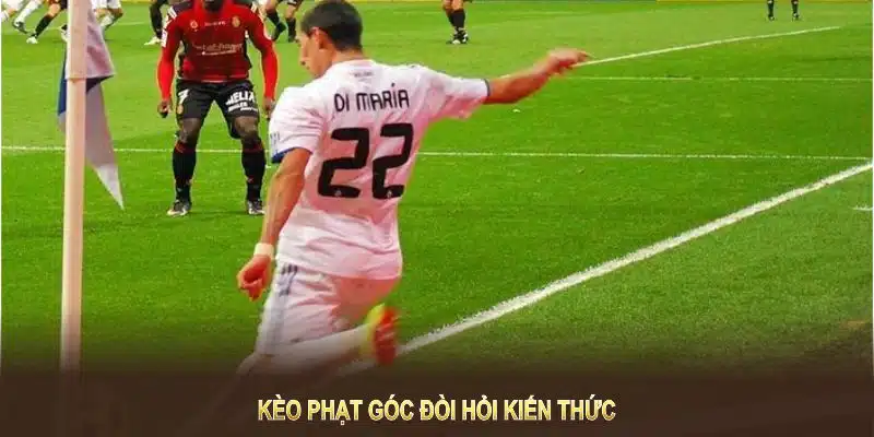 Kèo Phạt Góc đòi hỏi kiến thức và phân tích thông tin chuẩn xác